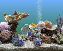Image SereneScreen Marine Aquarium 3.1
