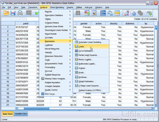 Ibm Spss Statistics Descargar