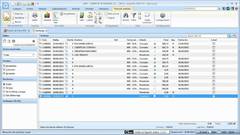 Image FactuSOL 2016 EV