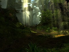 Imagen Age of Conan Hyborian Adventures Trailer