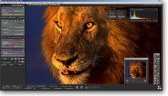 Imagen Sagelight 4.0