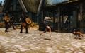 Skyrim Barrel Outfit Mod - Image 1