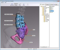 Image BoneLab 1.4.0.5