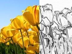 Imagen LazPaint 7.0.7