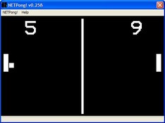 Image NetPong 0.25