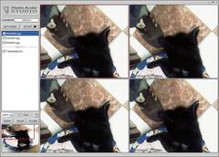 Image PhotoAcute Studio 3.004