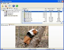 Image Easy File Undelete 3.0