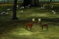 The Endless Forest - Imagen 2