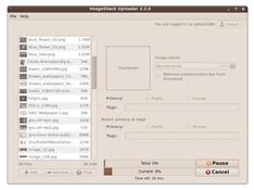 Imagen Picasa Imageshack Uploader 