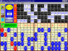 Imagen Bingo Fun 3.0