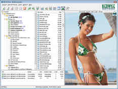Image NeoDownloader 2.9.3