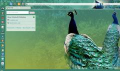 Image Epic Privacy Browser 91.0.4472.124