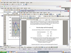 Image ThinkFree Office 3.0