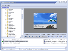 Image FastStone Player 13.2
