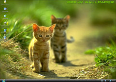 Imagen BioniX Wallpaper 6.11.17