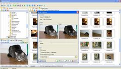 Image Shock View 2.31