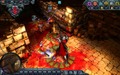 Dungeons & Dragons Online - Imagen 3