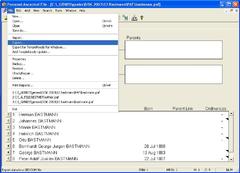 Image Personal Ancestral File 5.2.18.0