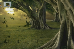 Image XPScene 1.2.8.317