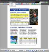 Image Nuance PDF Reader 8.1