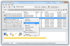 Image Index.dat Viewer 2.0