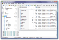 Image HeidiSQL 11.3.0.6295
