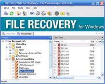 Image Seagate File Recovery 