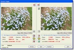 Imagen SimilarImages 2013.11