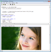 Image JPEGsnoop 1.8.0