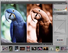 Imagen ArcSoft PhotoStudio Darkroom 2.0.0.174