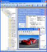 Imagen Oracle Maestro 7.10