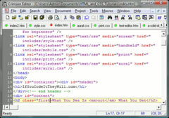 Imagen Crimson Editor 3.72