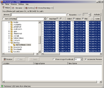 Imagen Métamorphose File -n- Folder Renamer 2.0.6.6