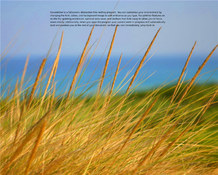 Imagen FocusWriter 1.7.6