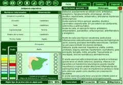 Imagen Plantas Utiles 6.4