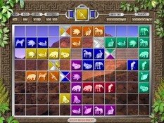 Imagen Passage 3 2.62