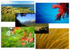 Imagen Windows 8 Wallpaper 