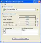 Imagen Excel Password Recovery Master 4.0