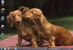 Image Tema Animal Affection 