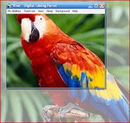 Imagen Vina Digital Talking Parrot 1.0.22
