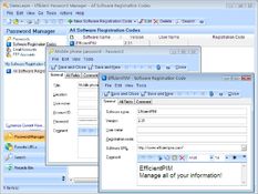 Image Efficient Password Manager Portable 1.55.74