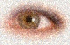 Imagen PhotoMosaique 1.6