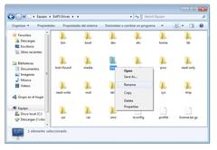 Imagen Paragon ExtBrowser 1.0