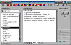 Image TrueTerm: Traveldictionary Spanish