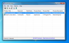 Imagen BulletsPassView 1.0