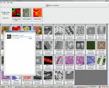 Imagen Virtual Microscope 6.2.2