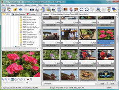 Image Ulead Photo Explorer 8.5