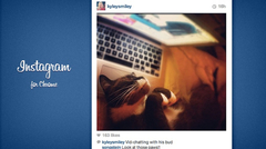 Imagen Instagram for Chrome 8.1.13