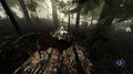 The Forest - Image 4