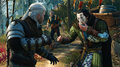 The Witcher 3: Wild Hunt - Imagen 2